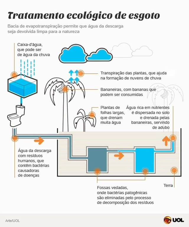 2-infografico-filtro-bananeira.jpg